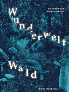 Wunderwelt Wald von Gerstenberg Verlag