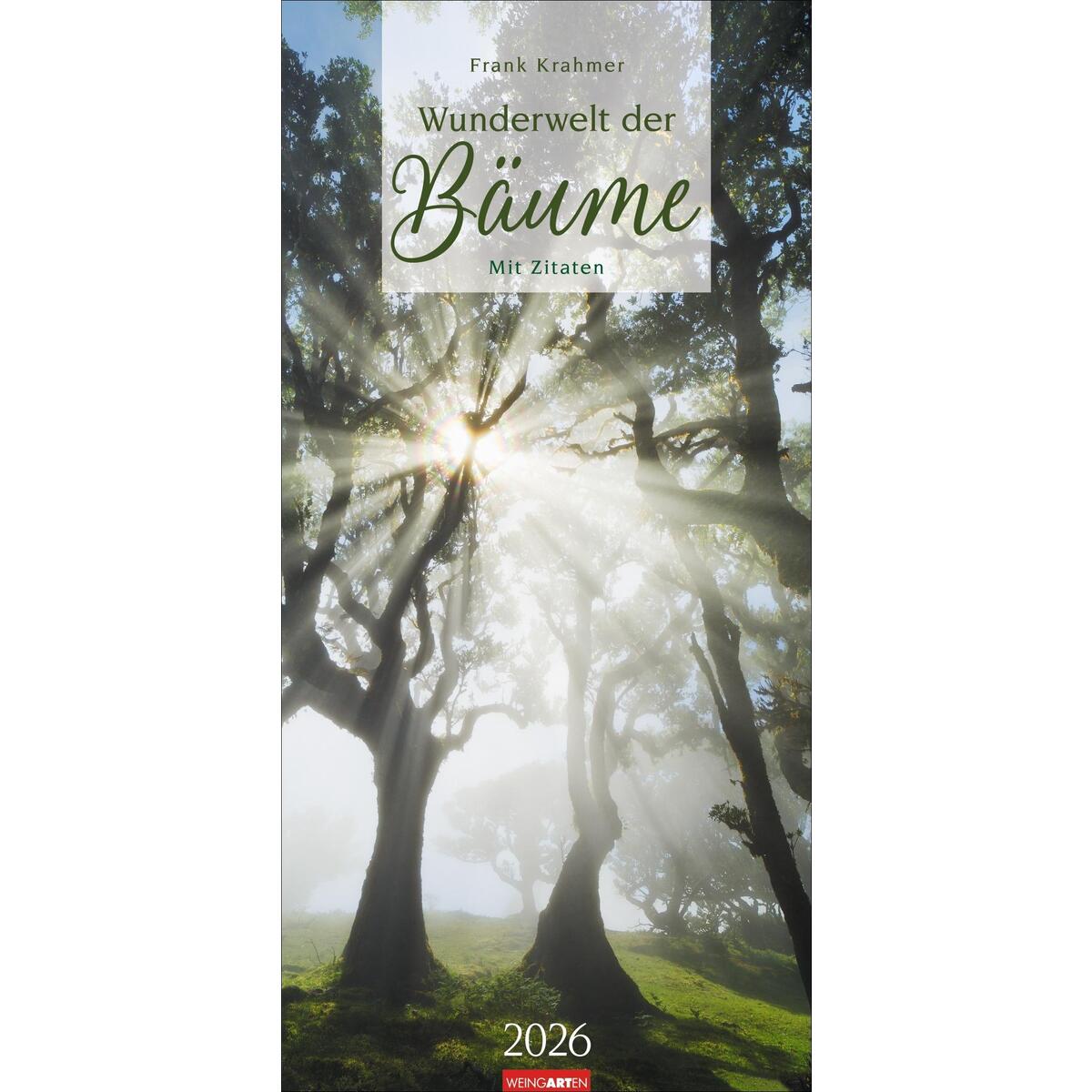 Wunderwelt der Bäume Kalender 2026 Wunderwelt der Bäume Kalender 2026 von Weingarten