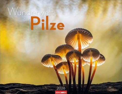 Wunderwelt der Pilze Kalender 2026: Einzigartige Nahaufnahmen von heimischen Pilzen im Wald und aus dem Garten. Eindrucksvoller Jahres-Wandkalender 2026 im Blickfang-Format 44 x 34 cm Wunderwelt der Pilze Kalender 2026: Einzigartige Nahaufnahmen von heimischen Pilzen im Wald und aus dem Garten. Eindrucksvoller Jahres-Wandkalender 2026 im Blickfang-Format 44 x 34 cm von Weingarten