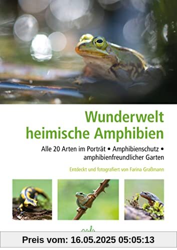 Wunderwelt heimische Amphibien: Alle 20 Arten im Porträt, Amphibienschutz, amphibienfreundlicher Garten
