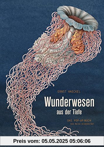 Wunderwesen aus der Tiefe. Ernst Haeckel: Das Pop-up-Buch