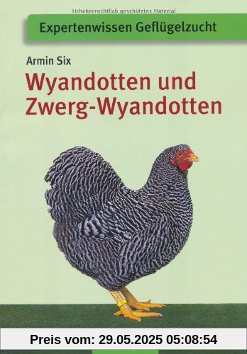 Wyandotten und Zwerg-Wyandotten Wyandotten und Zwerg-Wyandotten