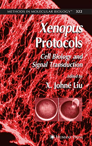 Xenopus Protocols: Cell Biology and Signal Transduction (Methods in Molecular Biology, 322, Band 322)