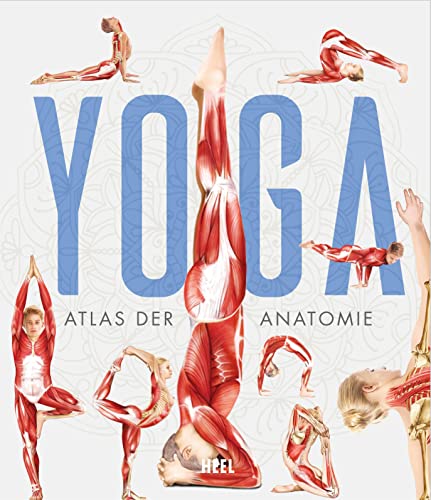 YOGA - Atlas der Anatomie: Yoga Anatomie und Asanas (wissenschaftliche anatomische Illustrationen) von Heel Verlag GmbH