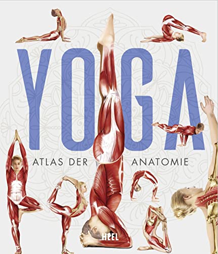 YOGA - Atlas der Anatomie: Yoga Anatomie und Asanas (wissenschaftliche anatomische Illustrationen) YOGA - Atlas der Anatomie: Yoga Anatomie und Asanas (wissenschaftliche anatomische Illustrationen)