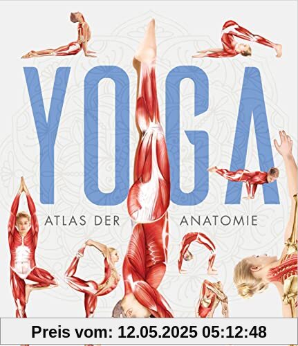 YOGA: Atlas der Anatomie