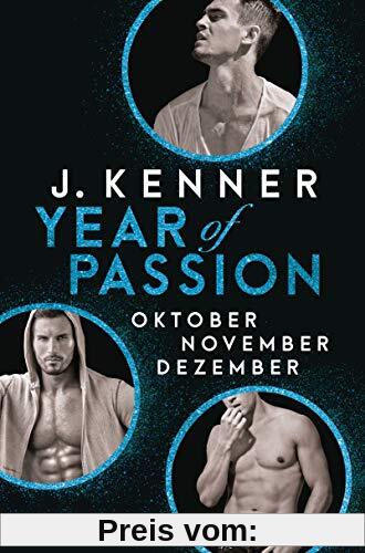 Year of Passion (10-12): Oktober. November. Dezember. Drei Romane in einem Band (Year of Passion - Bundles, Band 4)