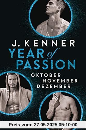 Year of Passion (10-12): Oktober. November. Dezember. Drei Romane in einem Band (Year of Passion - Bundles, Band 4)