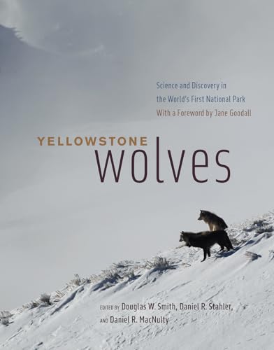Yellowstone Wolves: Science and Discovery in the World's First National Park von University of Chicago Press
