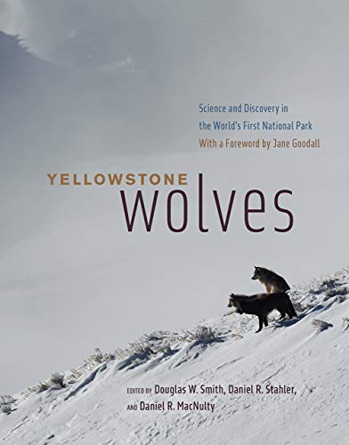 Yellowstone Wolves: Science and Discovery in the World's First National Park Yellowstone Wolves: Science and Discovery in the World's First National Park von University of Chicago Press