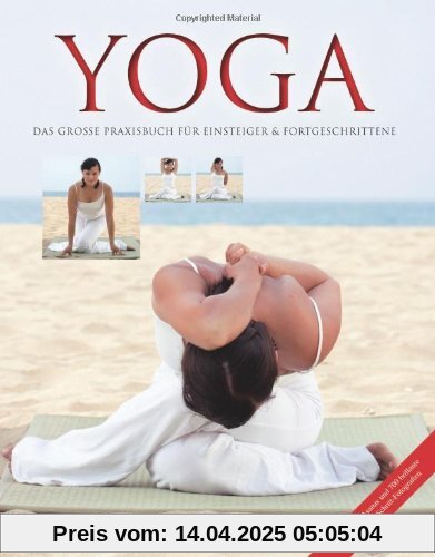 Yoga: Das grosse Praxisbuch für Einsteiger & Fortgeschrittene: Das grosse Praxisbuch fÃ1/4r Einsteiger & Fortgeschrittene