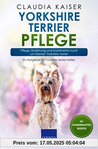 Yorkshire Terrier Pflege: Pflege, Ernährung und Krankheiten rund um Deinen Yorkshire Terrier Yorkshire Terrier Pflege: Pflege, Ernährung und Krankheiten rund um Deinen Yorkshire Terrier
