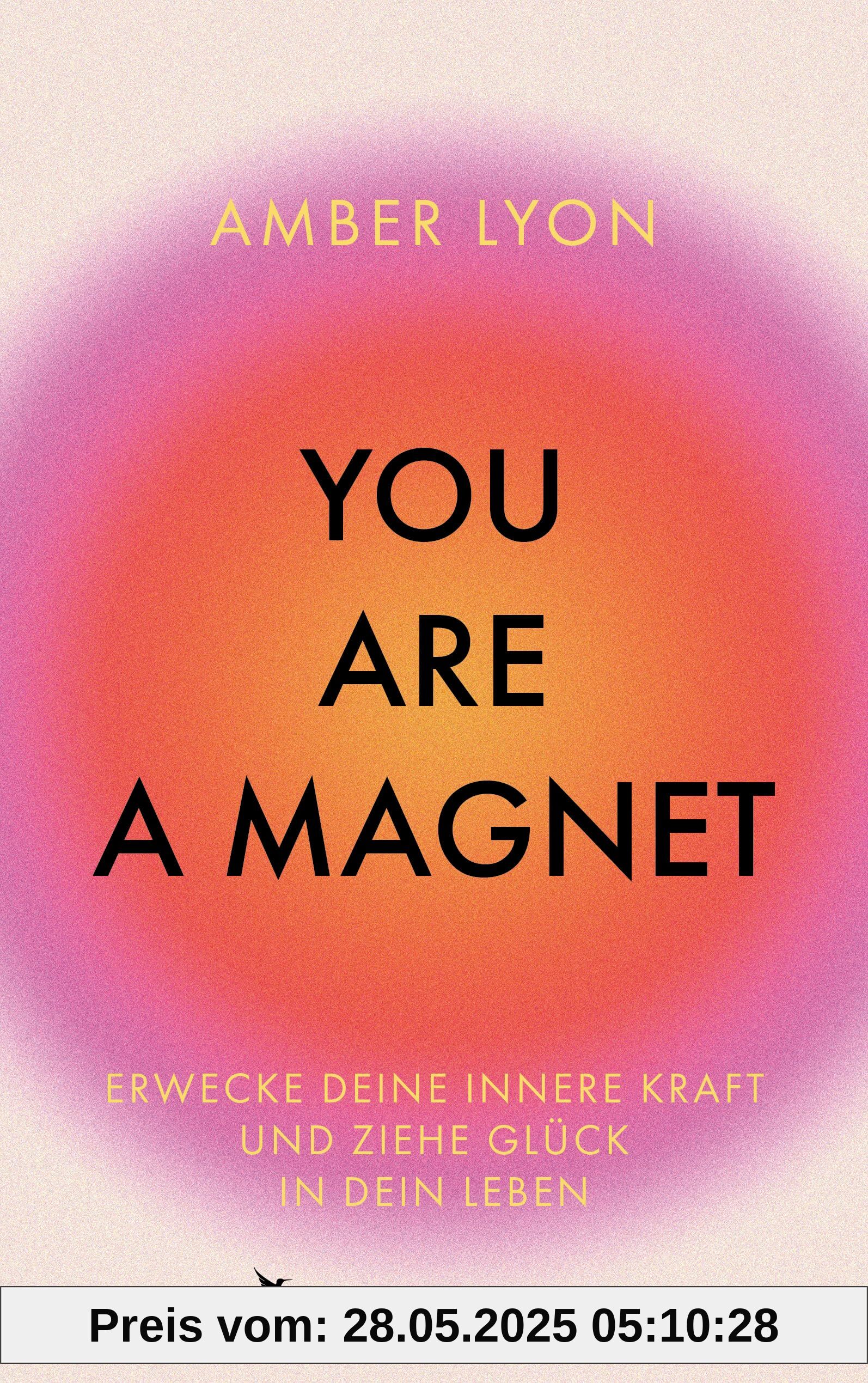 You are a Magnet: Erwecke deine innere Kraft und ziehe Glück in dein Leben | Selbstverwirklichung durch positive Psychologie & Perspektivwechsel