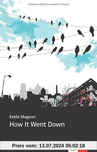 Young Adult Literature: Klett English Editions: How It Went Down