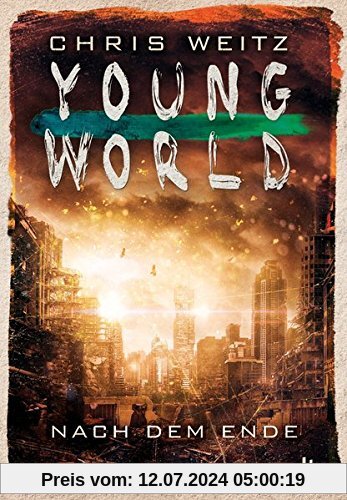 Young World - Nach dem Ende: Roman
