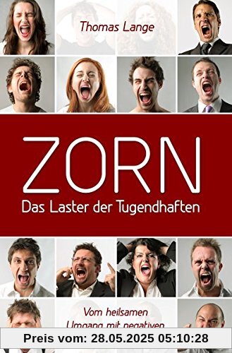 ZORN - das Laster der Tugendhaften: Vom heilsamen Umgang mit negativen Emotionen