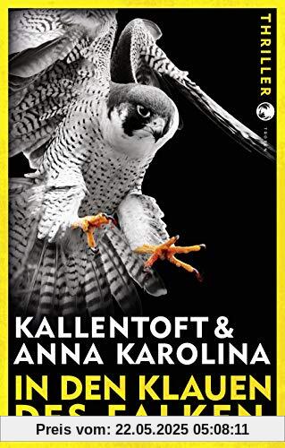 Zack Herry / In den Klauen des Falken: Thriller