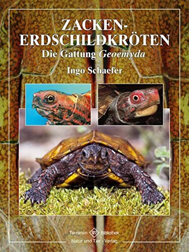 Zacken-Erdschildkröten: Die Gattung Geoemyda (Terrarien-Bibliothek)