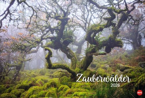 Zauberwälder Edition Kalender 2026: Wandkalender XL mit Fotos verwunschener Wälder und Lichtungen. Kalender-Großformat mit hochwertigen und geheimnisvollen Fotos. von Heye