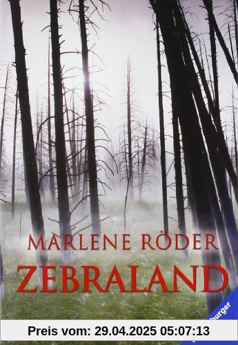 Zebraland