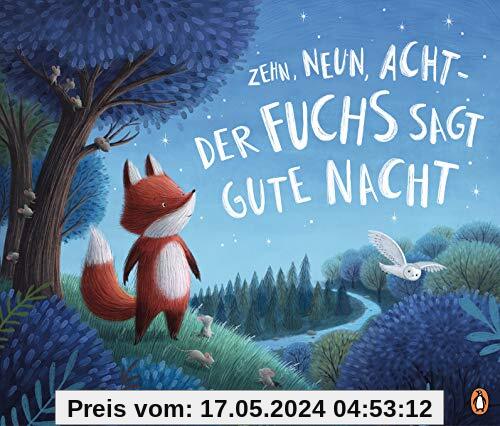 Zehn, neun, acht - der Fuchs sagt gute Nacht: Bilderbuch ab 3 Jahren