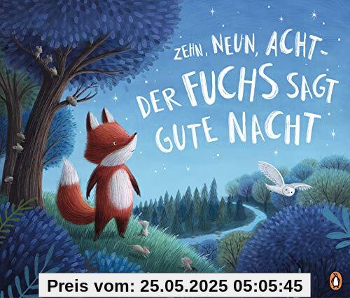 Zehn, neun, acht - der Fuchs sagt gute Nacht: Bilderbuch ab 3 Jahren