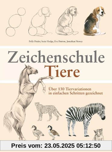 Zeichenschule Tiere: Über 130 Tiervariationen in einfachen Schritten gezeichnet