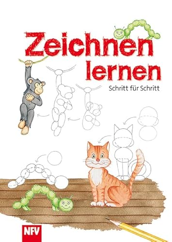 Zeichnen lernen: Schritt für Schritt