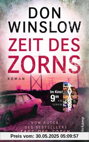 Zeit des Zorns: Roman (suhrkamp taschenbuch)