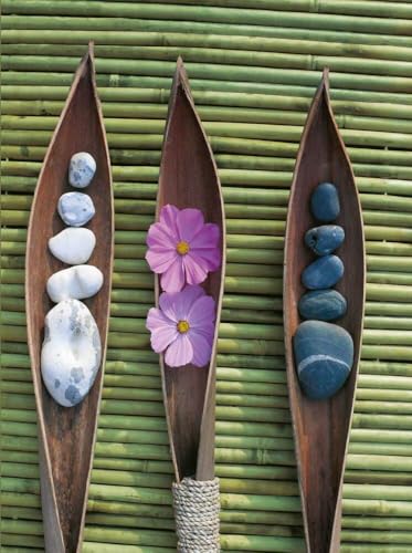 Zen Nature: Blank Book large (Blankbook (RB906))