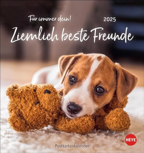 Ziemlich beste Freunde Postkartenkalender 2025 - Für immer dein: Postkarten-Fotokalender mit Hunden und ihren Lieblingsstofftieren. Kleiner Kalender ... lustiger Sprüche. (Postkartenkalender Heye) von Heye
