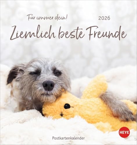 Ziemlich beste Freunde Postkartenkalender 2026 - Für immer dein: Postkarten-Fotokalender mit Hunden und ihren Lieblingsstofftieren. Kleiner Kalender ... lustiger Sprüche. (Postkartenkalender Heye) von Heye