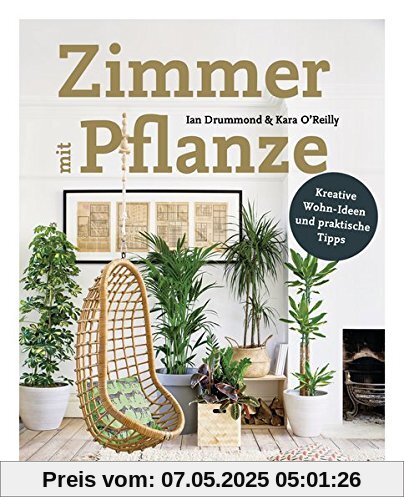 Zimmer mit Pflanze: Kreative Wohn-Ideen & praktische Tipps