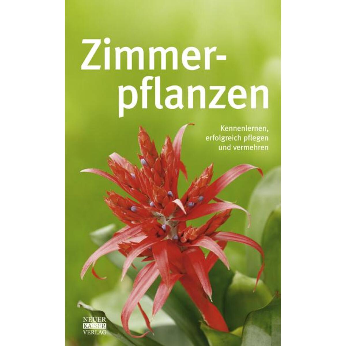 Zimmerpflanzen von Neuer Kaiser Verlag