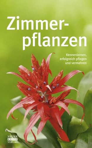 Zimmerpflanzen: Kennenlernen, erfolgreich pflegen und vermehren