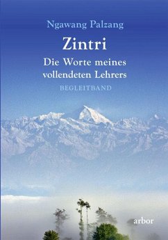 Zintri von Arbor-Verlag