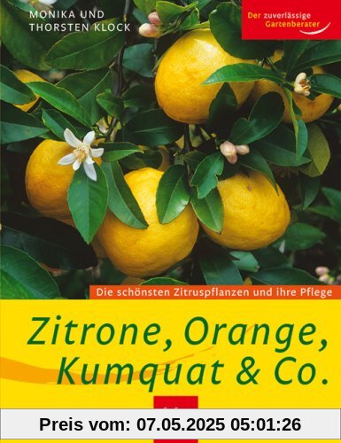 Zitrone, Orange, Kumquat & Co: Die schönsten Zitruspflanzen und ihre Pflege