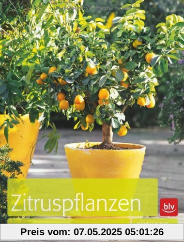Zitruspflanzen: Zitrone, Orange, Kumquat & Co.