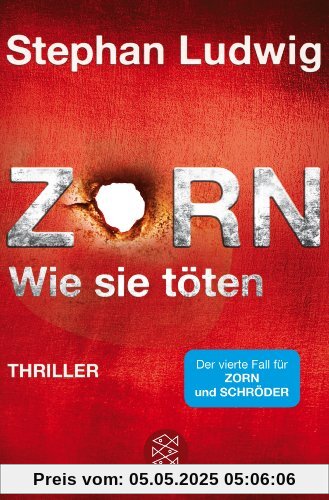 Zorn 4 - Wie sie töten: Thriller