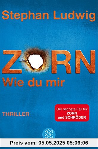 Zorn 6 - Wie du mir: Thriller
