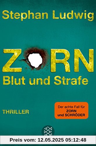 Zorn 8 - Blut und Strafe: Thriller