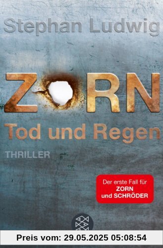 Zorn - Tod und Regen: Thriller