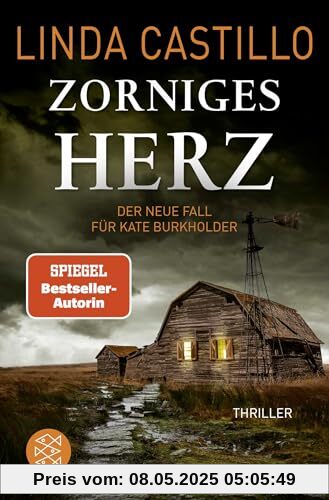 Zorniges Herz: Thriller