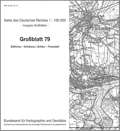 Züllichau - Grünberg in Schlesien - Fraustadt: Karte des Deutschen Reiches 1:100.000 Großblatt 79 (Karte des Deutschen Reiches. Grossblätter / ... ehemaligen Reichsamtes für Landesaufnahme)