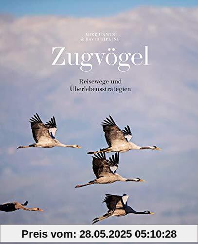 Zugvögel: Reisewege und Überlebensstrategien Zugvögel: Reisewege und Überlebensstrategien