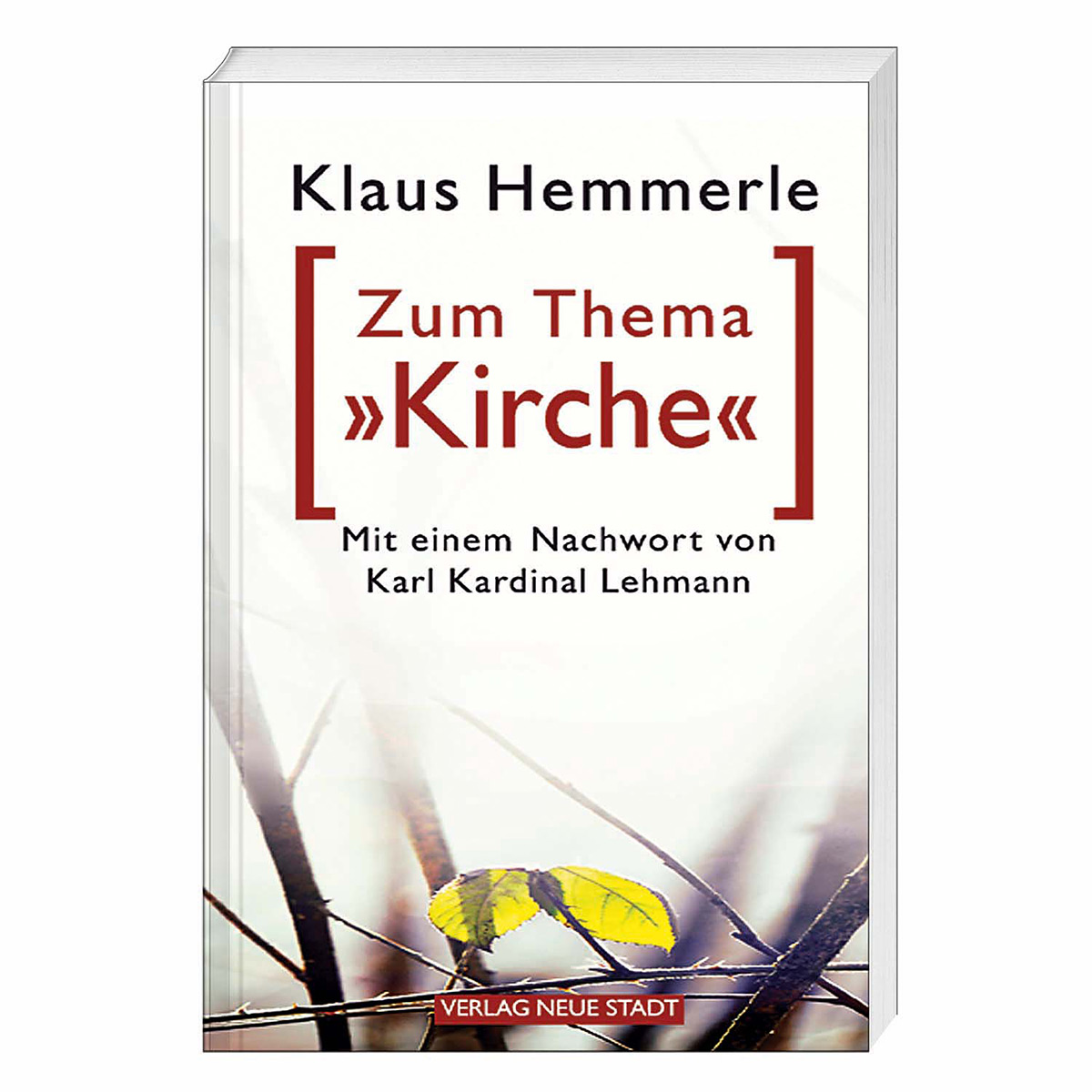 Zum Thema Kirche Zum Thema Kirche von Verlag Neue Stadt