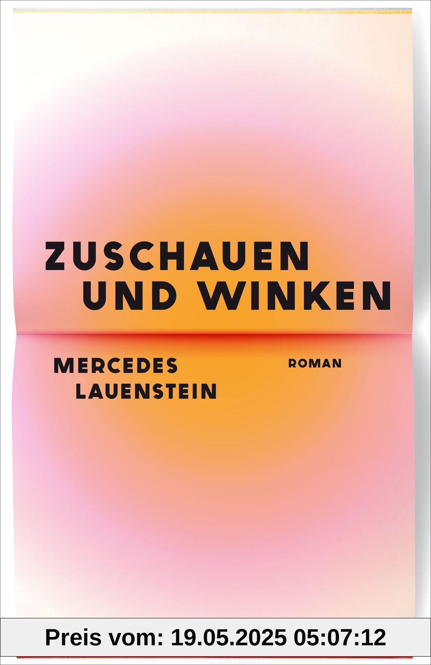Zuschauen und Winken: Roman