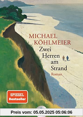 Zwei Herren am Strand: Roman (dtv großdruck)