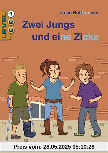Zwei Jungs und eine Zicke / Level 1: Schulausgabe (Lesen lernen mit der Silbenhilfe)