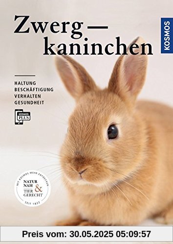 Zwergkaninchen: Haltung, Beschäftigung, Verhalten, Gesundheit Zwergkaninchen: Haltung, Beschäftigung, Verhalten, Gesundheit